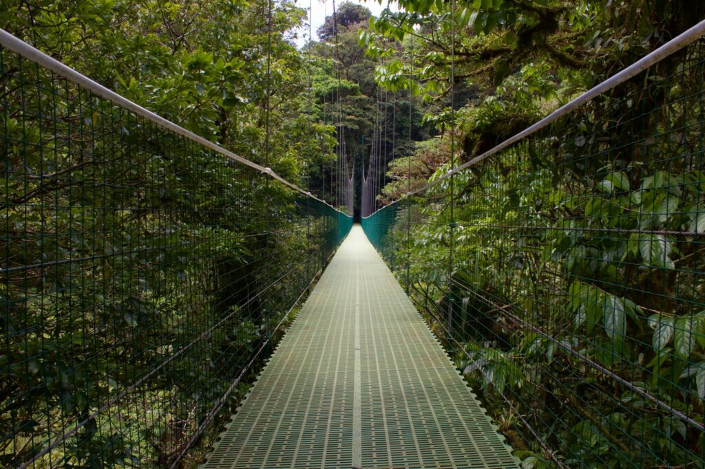 Ponte suspensa na floresta tropical da Costa Rica