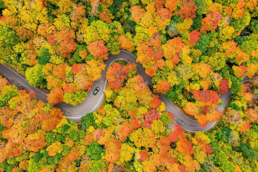 Estrada sinuosa cercada de árvores vermelhas e amarelas no outono de Vermont