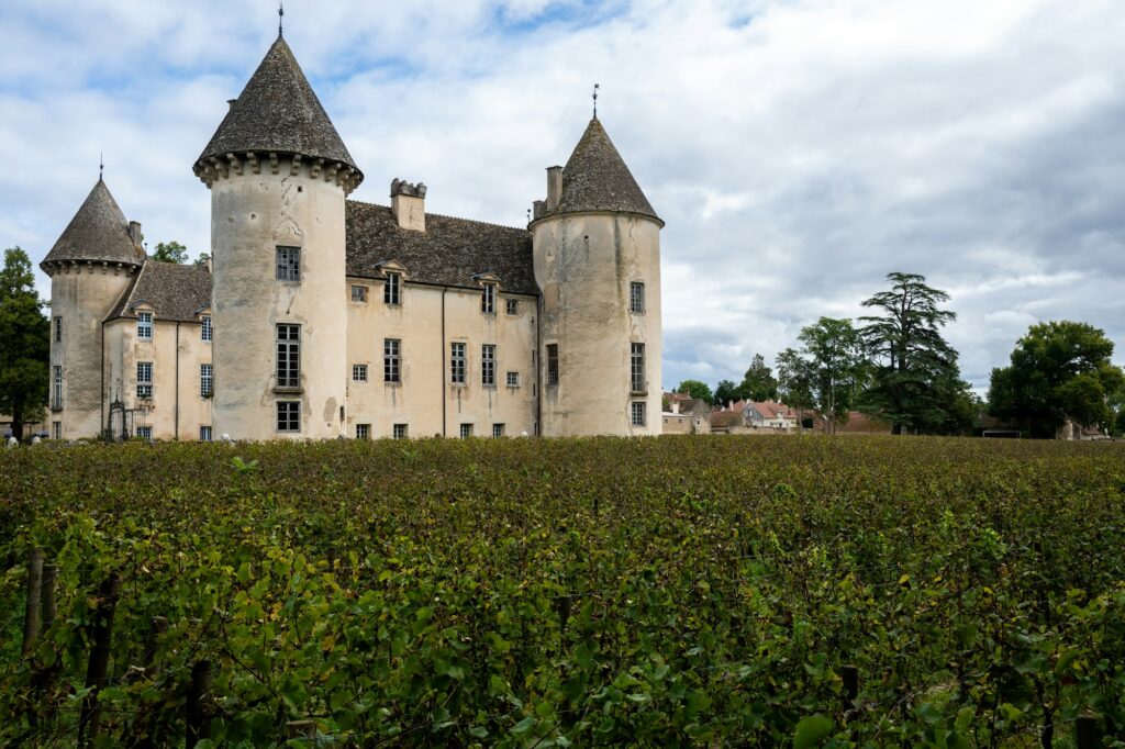 Castelo entre vinhedos na França
