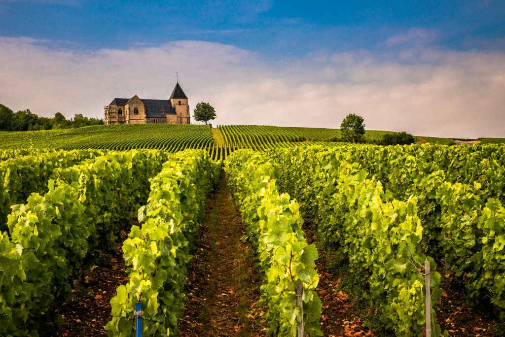 Vinhedos e vilarejo no interior da França