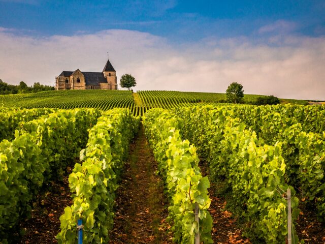 Champagne e Borgonha: a rota dos grandes vinhos da França