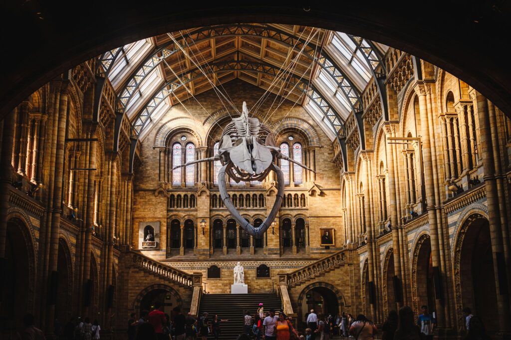 Natural History Museum, em Londres
