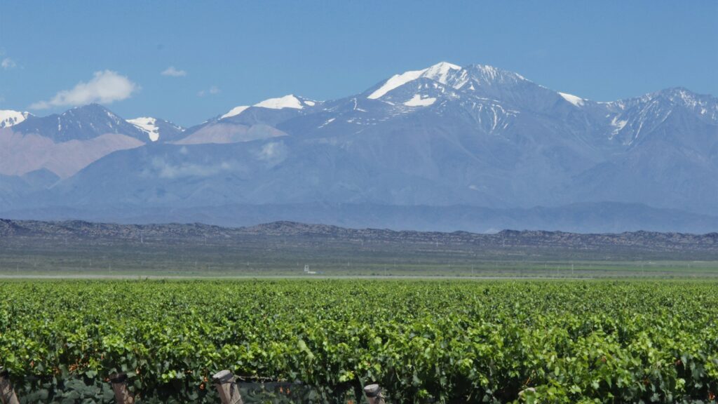 Vinhedos com a Cordilheira dos Andes ao fundo, em Mendoza