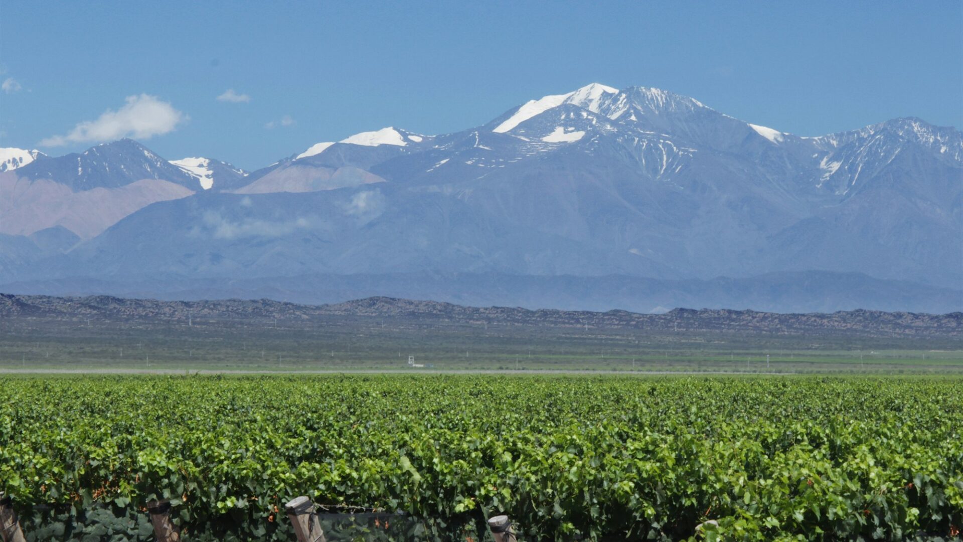 Vinho perto de casa: Mendoza e os vales do Chile