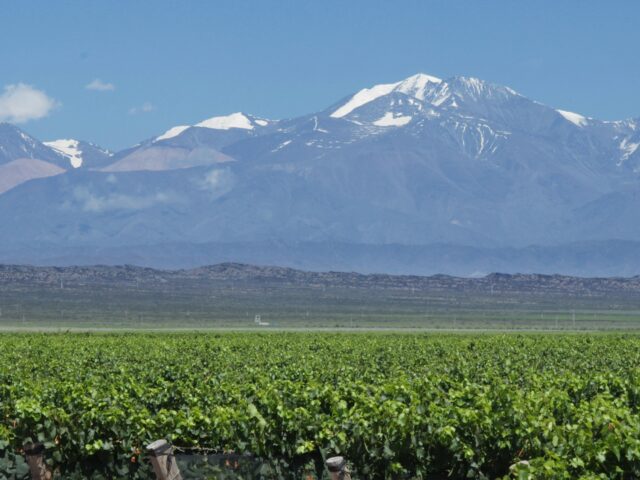 Vinho perto de casa: Mendoza e os vales do Chile