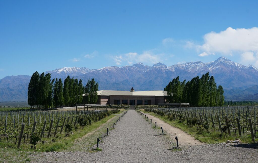 Vinícola entre álamos e montanhas, na Argentina