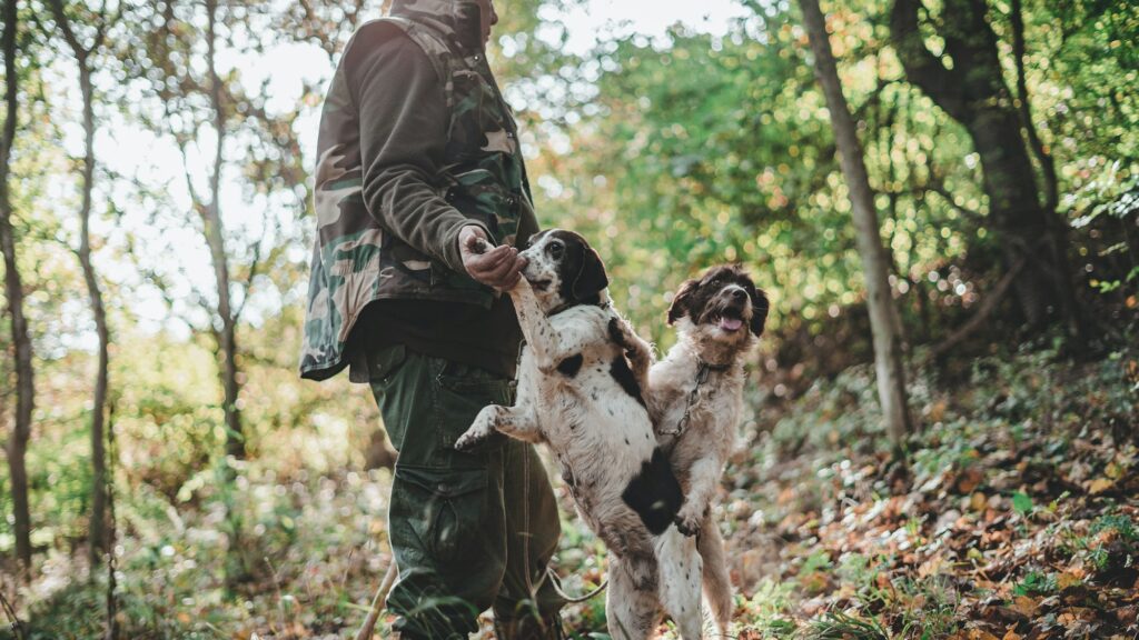 Caçador de trufas com seu cão
