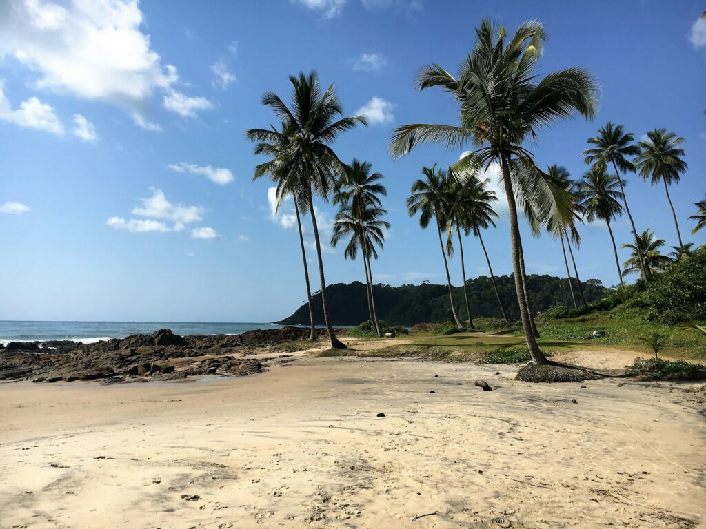 Praia com coqueiros no litoral da Bahia