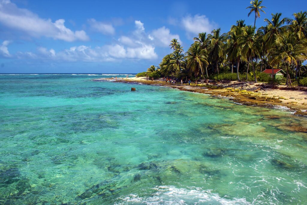 Mar cristalino em tons de azul e coqueiros na ilha de Johnny Cay, San Andrés, Colômbia